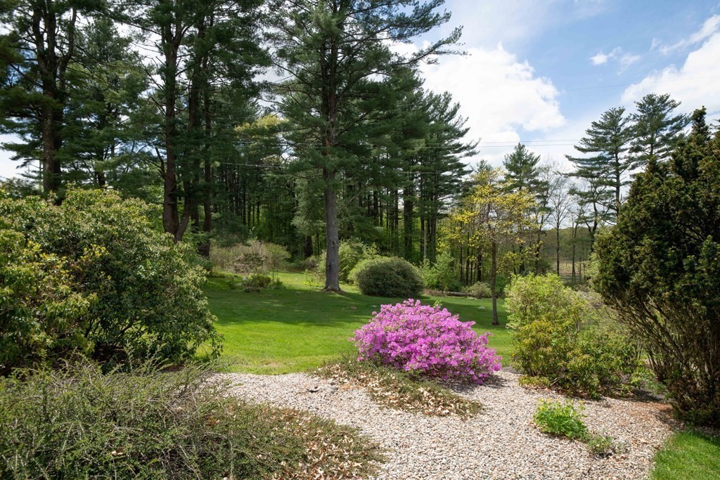 387 Florence Road Northampton, MA 01062 - Photo 6 of 34 Gallery Image 6