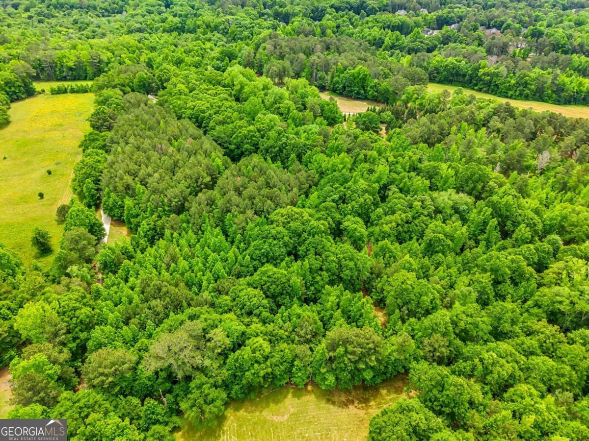 Tract 5 Mcnutt Creek Road Bogart, GA 30622 - Photo 3 of 4