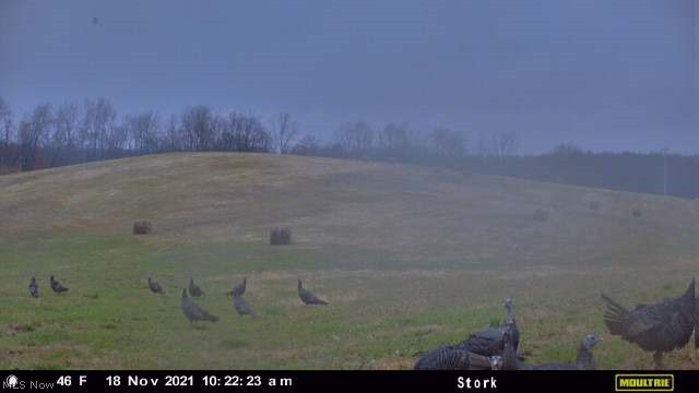 8040 Stork Road Southwest Dennison, OH 44621 - Photo 27 of 27