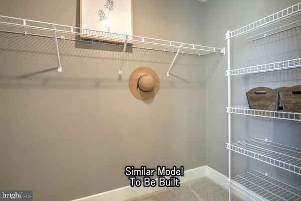 a close view of a shower in the bathroom