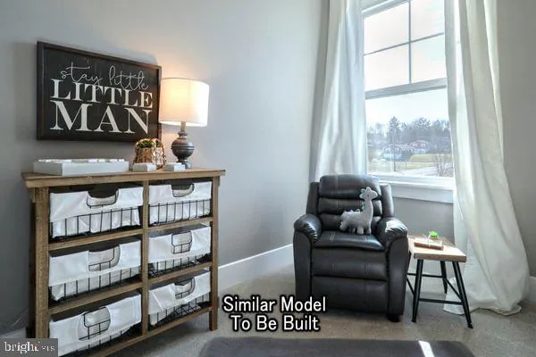 a living room with furniture cabinets and window