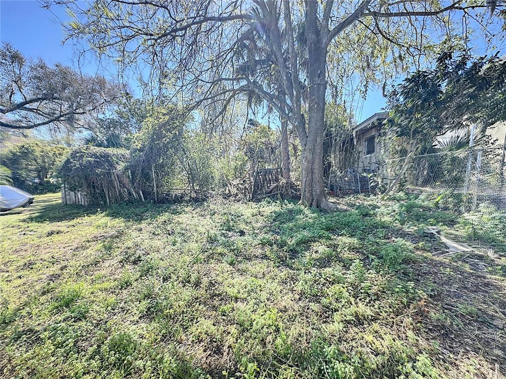 110 Reynolds Road Deleon Springs, FL 32130 - Photo 15 of 27 a view of a yard with plants and trees