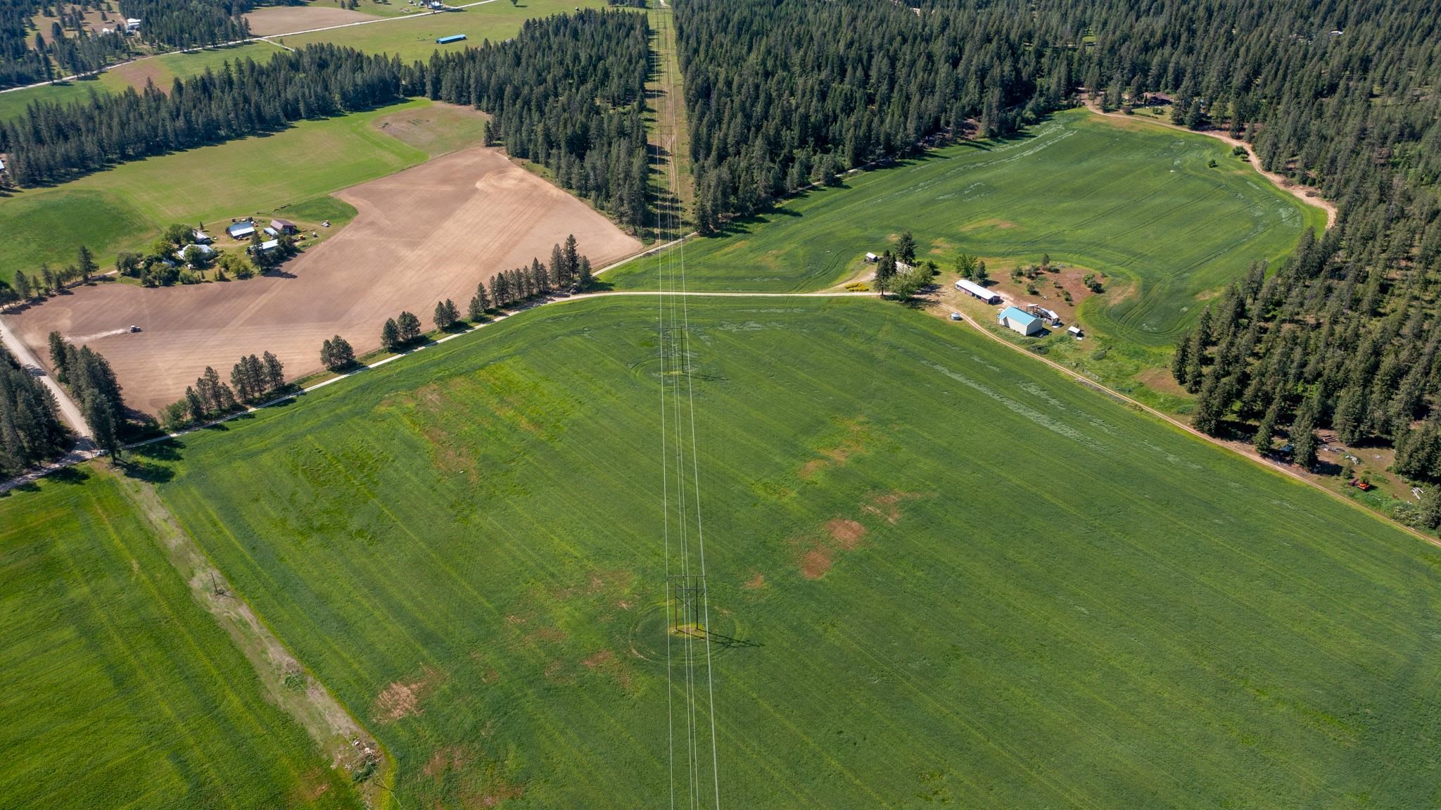 4881 A Carr Road Clayton, WA 99110 - Photo 40 of 44