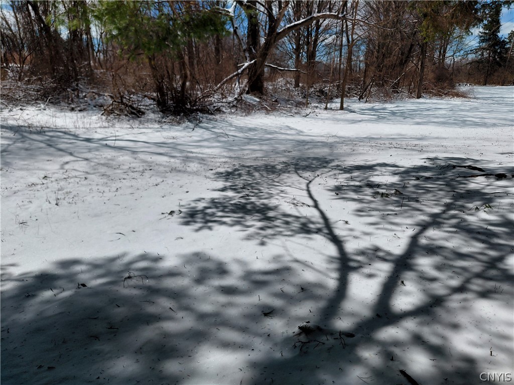 8114 Salt Springs Road Manlius, NY 13104 - Photo 3 of 17