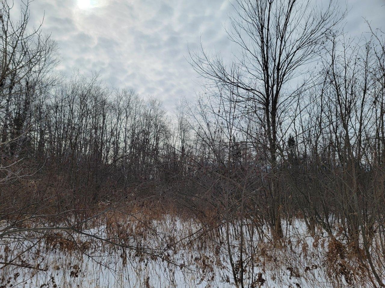 Off North Weirgor Road, Unit 5 ACRES Exeland, WI 54835 - Photo 7 of 10 Gallery Image 7
