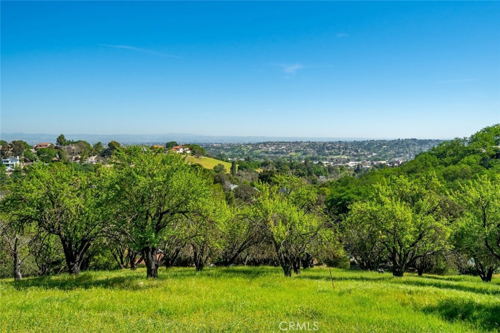 1026 Merry Hill Road Paso Robles, CA 93446 - Photo 22 of 66