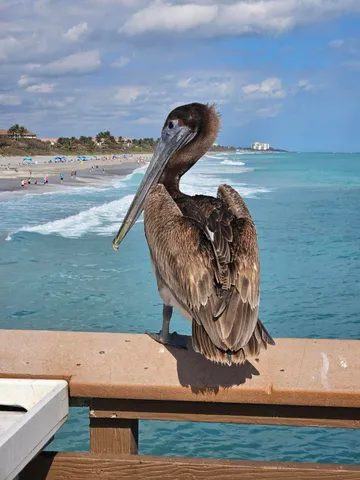 $5,500 | 207 Mainsail Circle, Jupiter, FL 33477