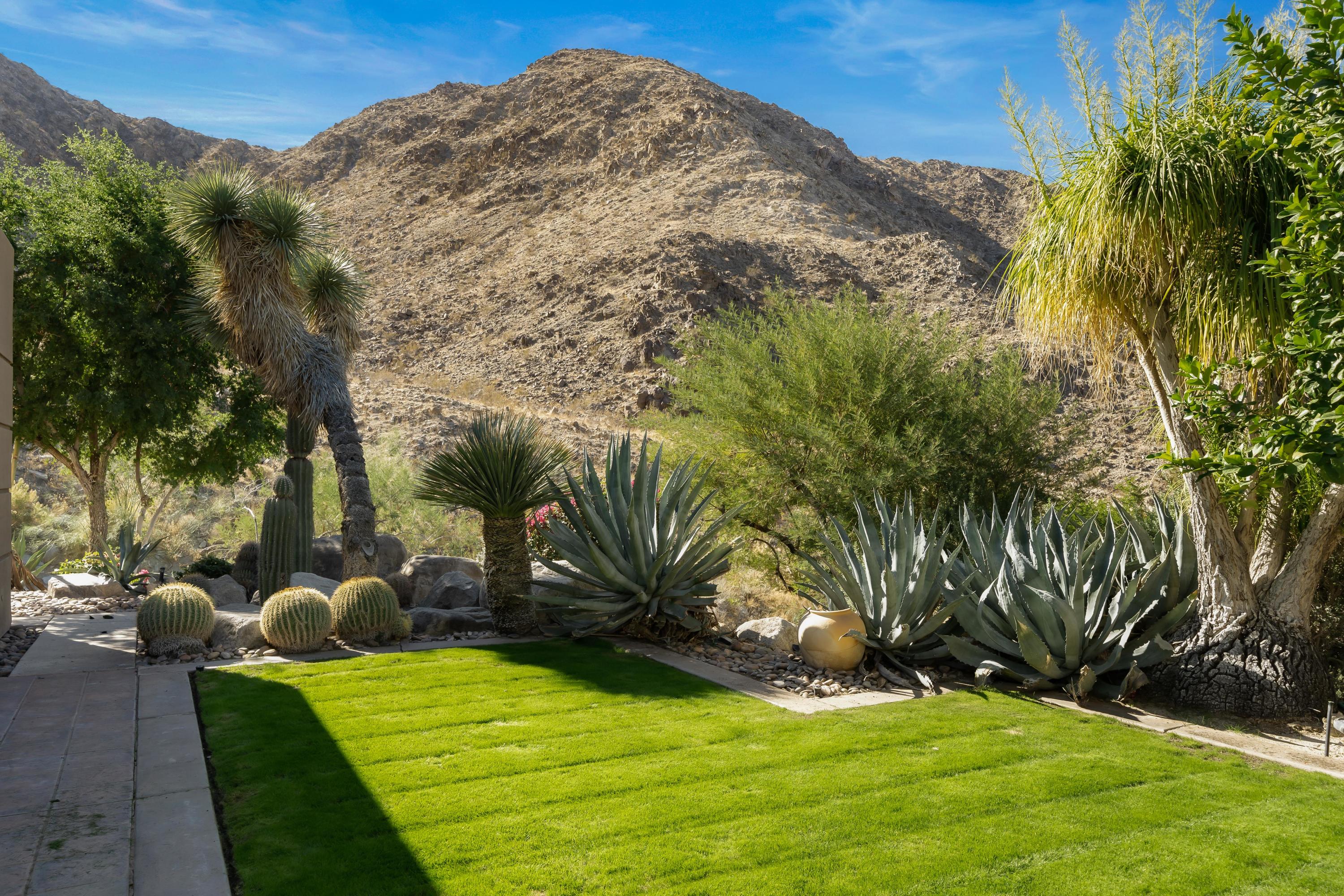 75270 Hidden Cove Indian Wells, CA 92210 - Photo 71 of 73 a view of a backyard with plants and a barbeque