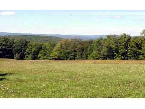 44 Thompson Road Hanover, NH 03755 - Photo 7 of 7