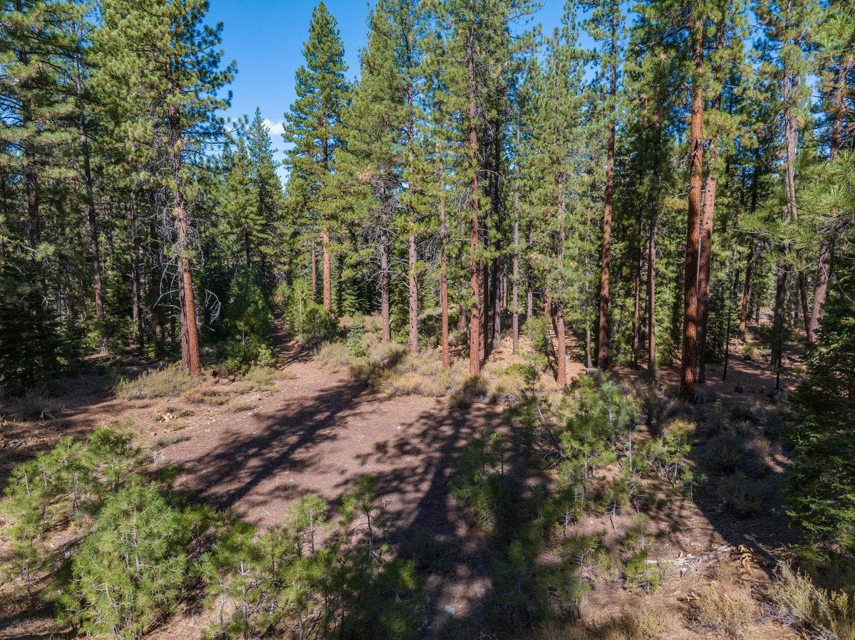 10718 Regency Circle Truckee, CA 96161 - Photo 3 of 11 a view of outdoor space and trees