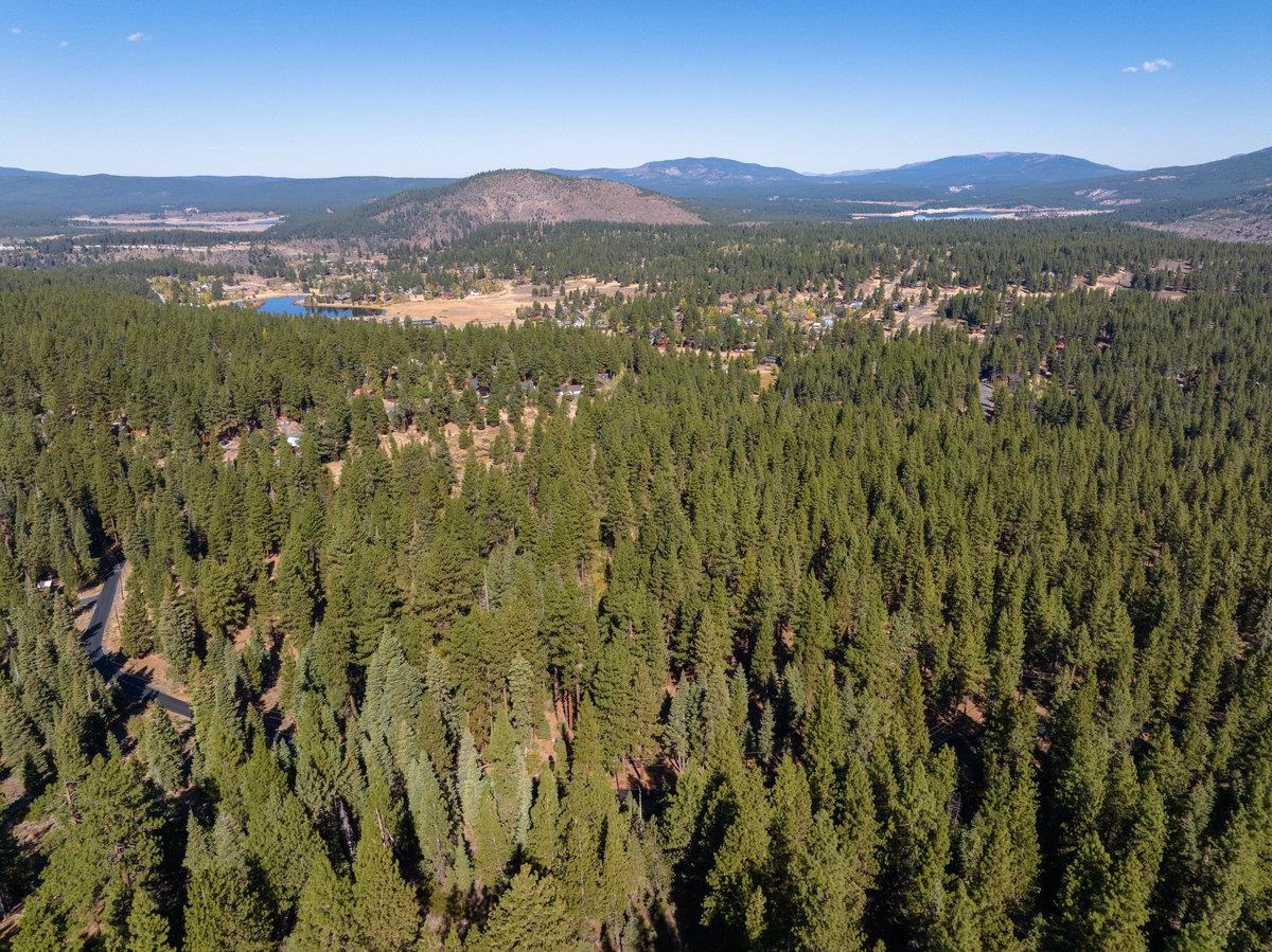10718 Regency Circle Truckee, CA 96161 - Photo 5 of 11 a view of a lush green hillside and houses