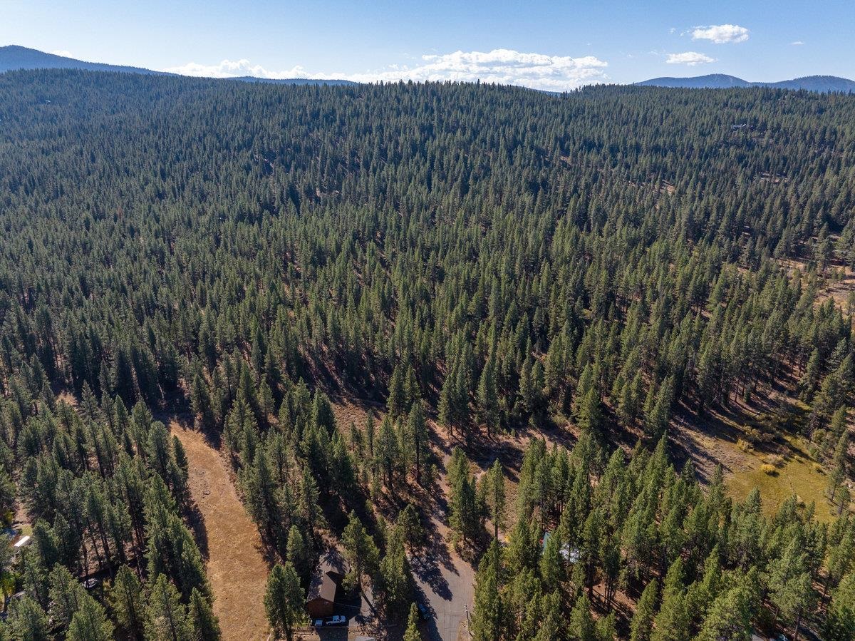 10718 Regency Circle Truckee, CA 96161 - Photo 6 of 11 a view of a dry yard with green space
