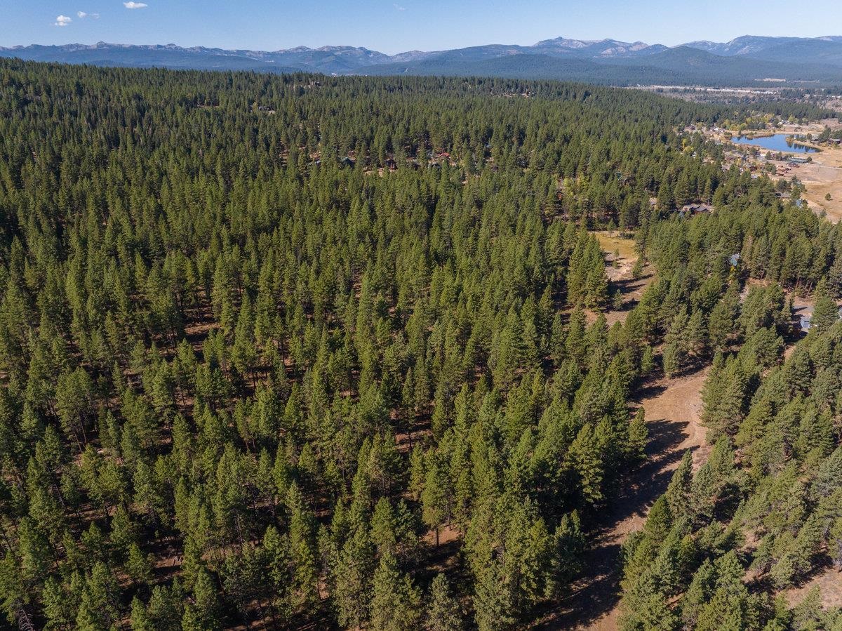 10718 Regency Circle Truckee, CA 96161 - Photo 10 of 11 a view of a city with lush green forest