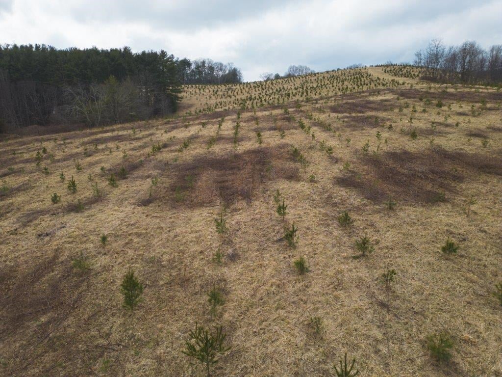 Tbd Long Mountain Road Southwest Willis, VA 24380 - Photo 15 of 66 Gallery Image 15