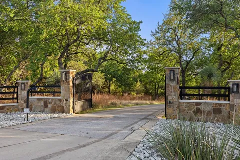 a view of a yard with plants and trees