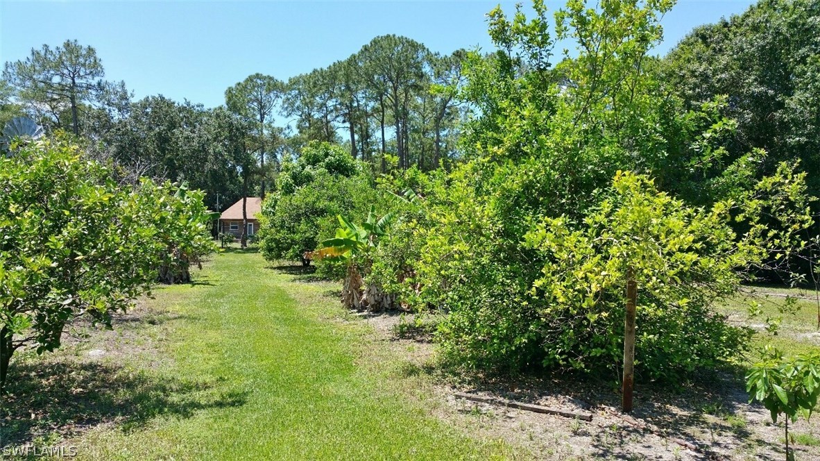 249 Trader Road Fort Denaud, FL 33935 - Photo 7 of 8 Gallery Image 7