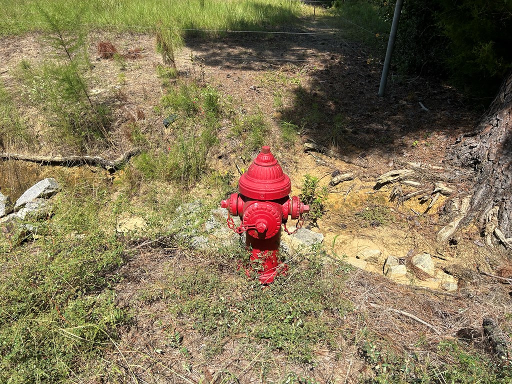 478 Gene Terry Road Dothan, AL 36301 - Photo 51 of 56