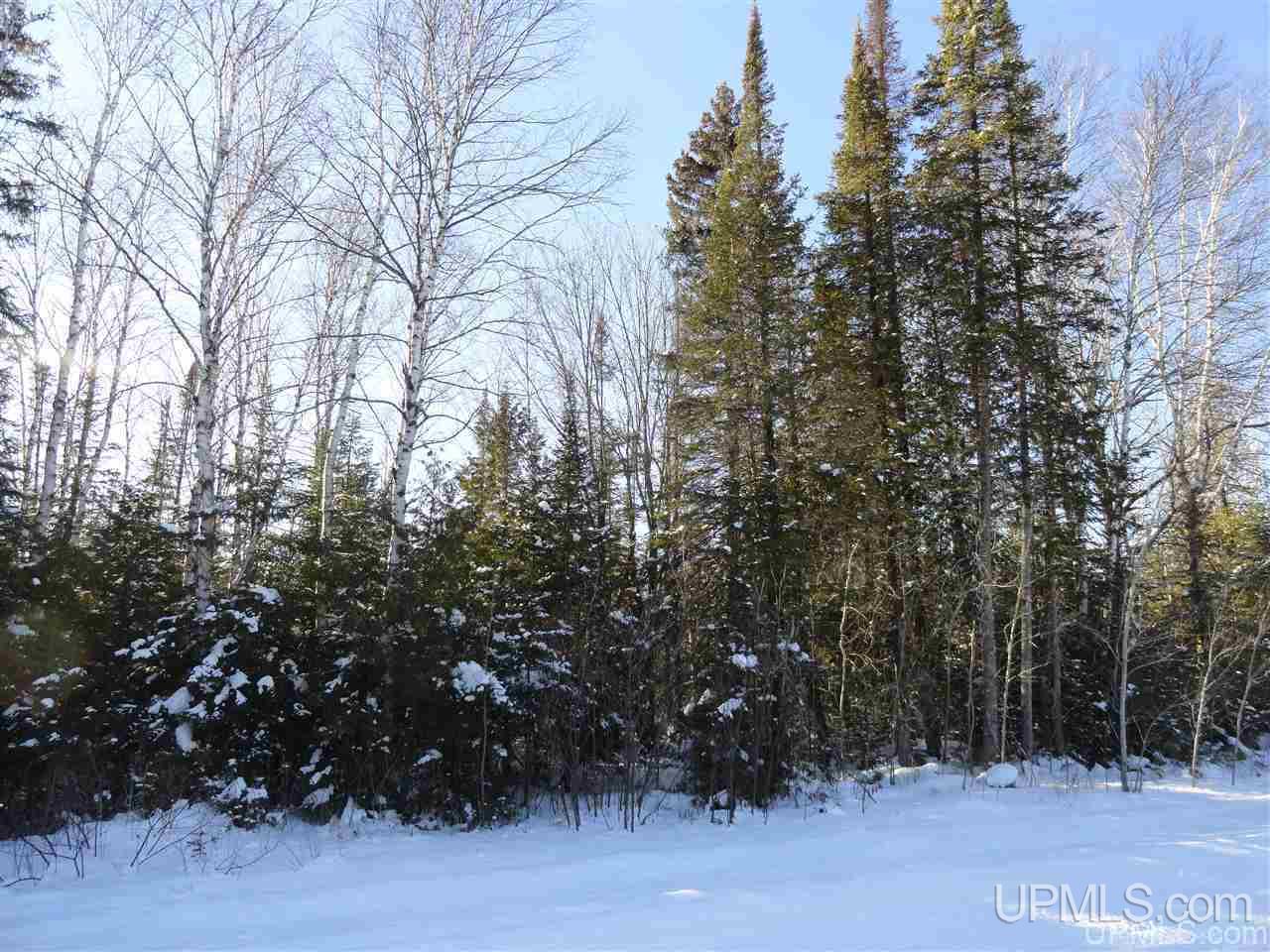 80-acres Co Rd N415 McMillan, MI 49853 - Photo 11 of 36