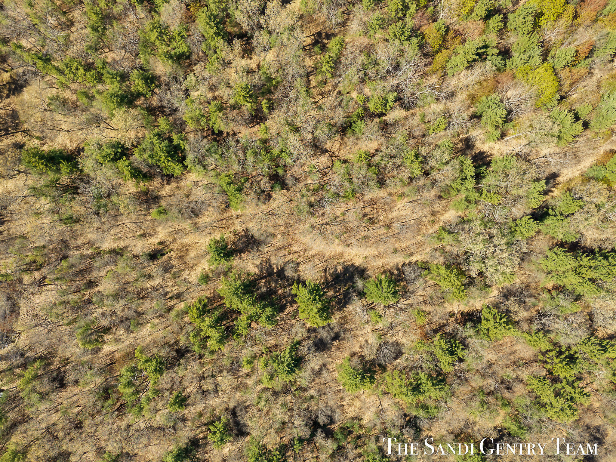 Whitehall Road Whitehall, MI 49461 - Photo 10 of 13 DJI_20260514163150_0343_D_KYLE