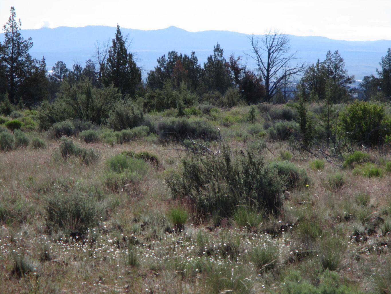 Lot-200 Southwest Graham Road Culver, OR 97734 - Photo 3 of 7 Graham 3