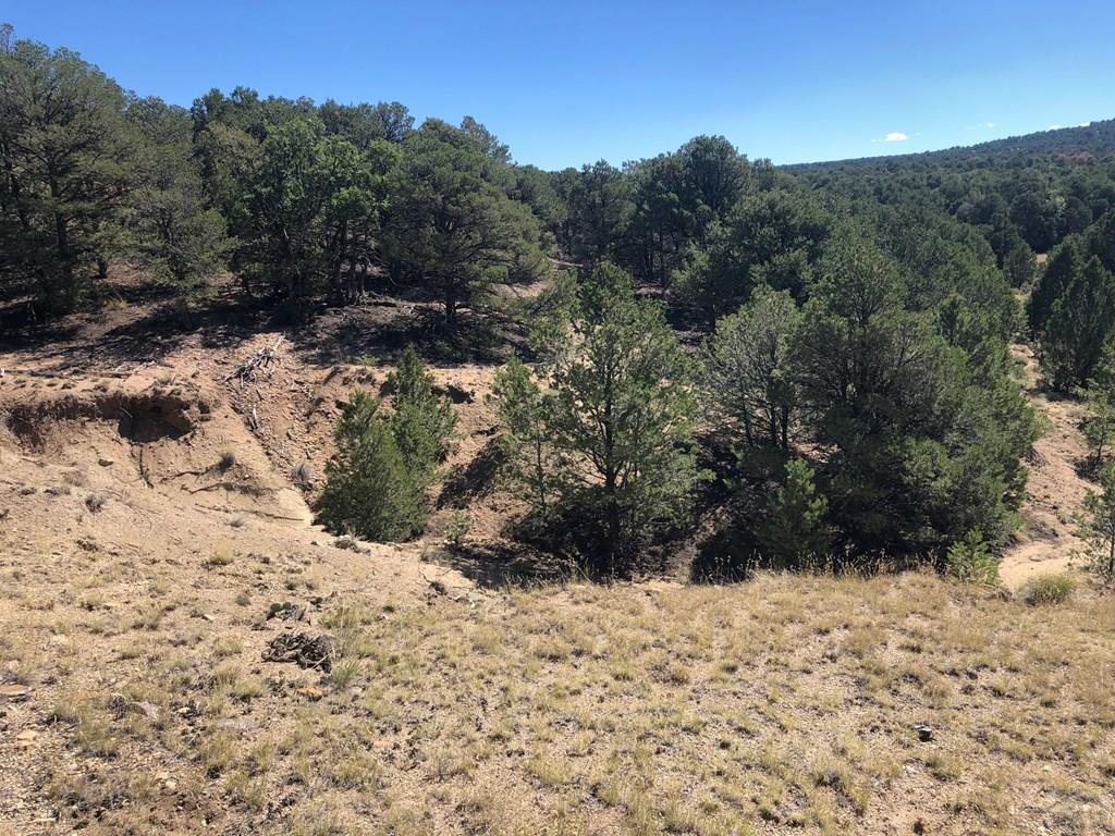 Lot 64 River Ridge Trail La Veta, CO 81055 - Photo 16 of 29
