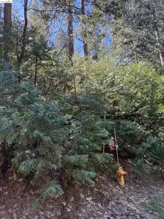 $22,000 | 0 Lot 498 Oxbow Lane, Sonora, CA 95370