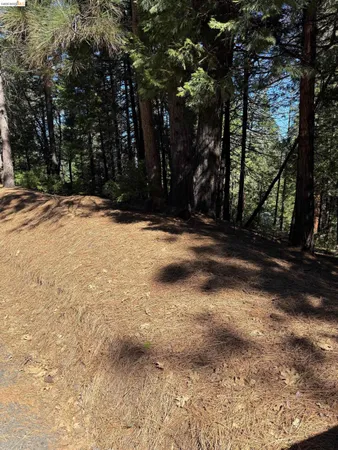 $22,000 | 0 Lot 498 Oxbow Lane, Sonora, CA 95370