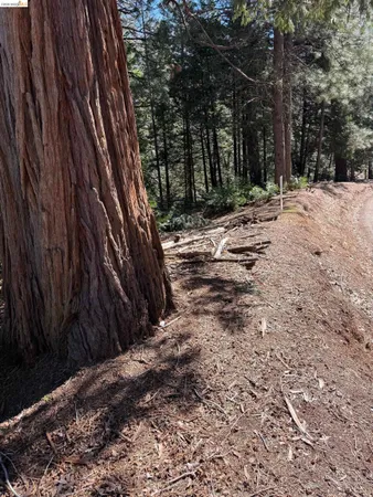 $22,000 | 0 Lot 498 Oxbow Lane, Sonora, CA 95370