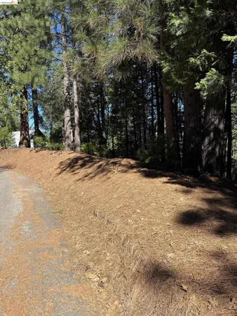 $22,000 | 0 Lot 498 Oxbow Lane, Sonora, CA 95370