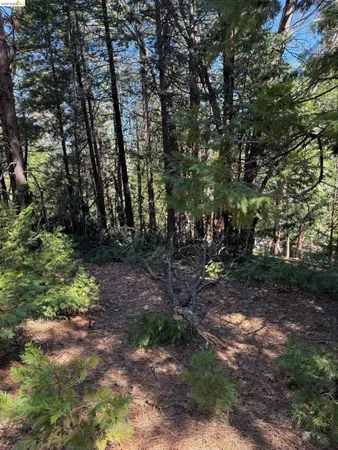 $22,000 | 0 Lot 498 Oxbow Lane, Sonora, CA 95370