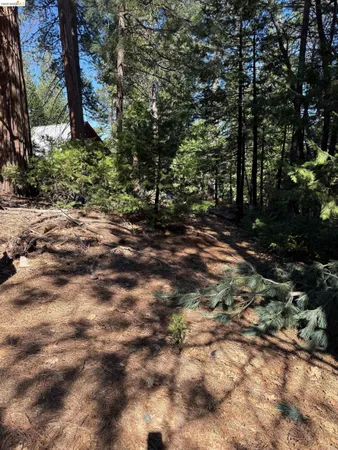 $22,000 | 0 Lot 498 Oxbow Lane, Sonora, CA 95370