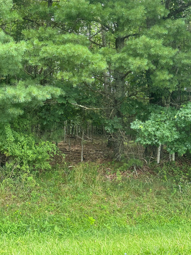 Tbd Carsonville Road, Unit PARCEL #3 Independence, VA 24348 - Photo 2 of 11 Gallery Image 2