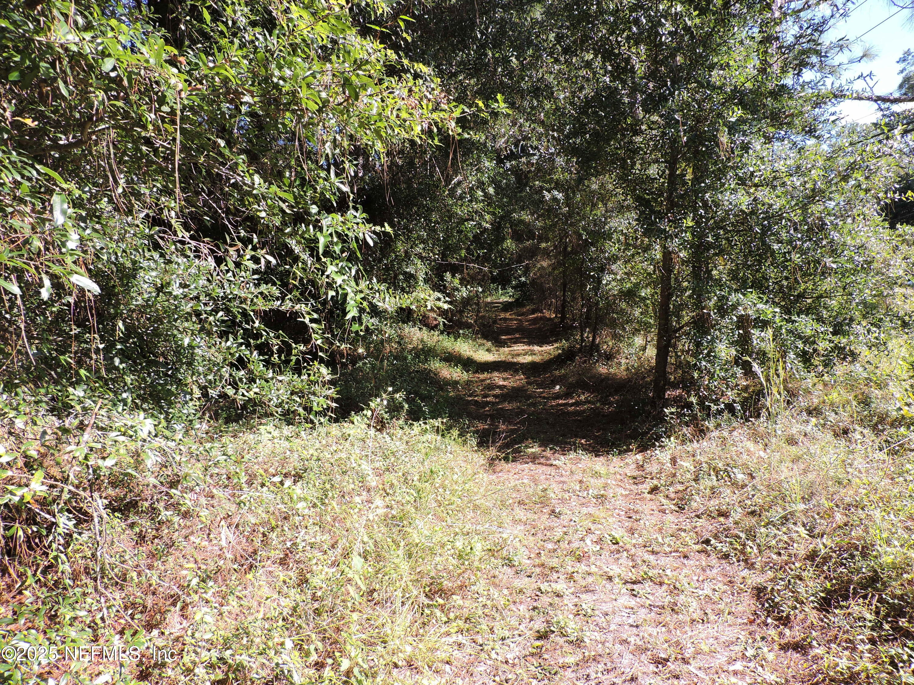 a view of a yard covered in snow