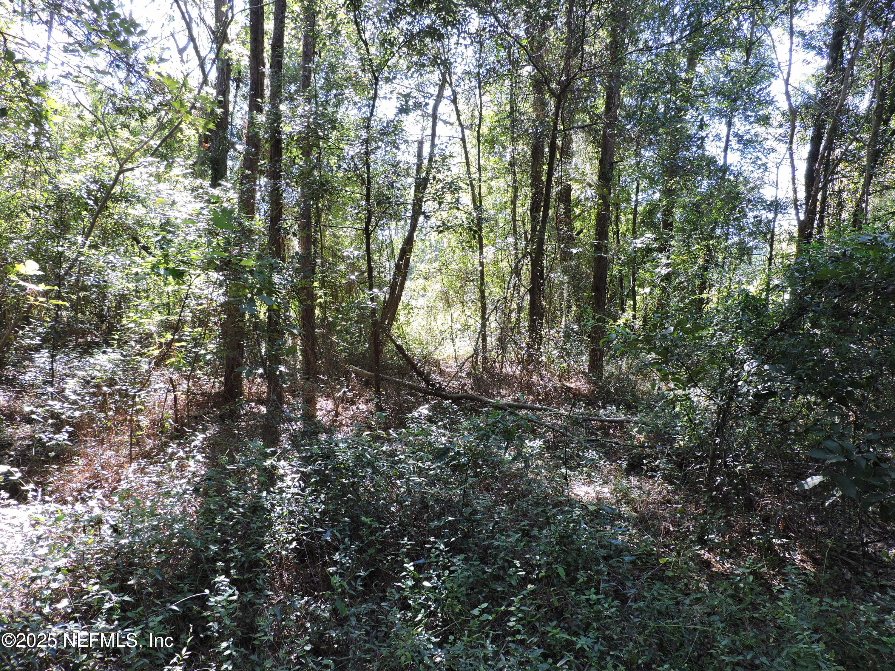 0 New Berlin Road Jacksonville, FL 32226 - Photo 6 of 36 a view of outdoor space and trees