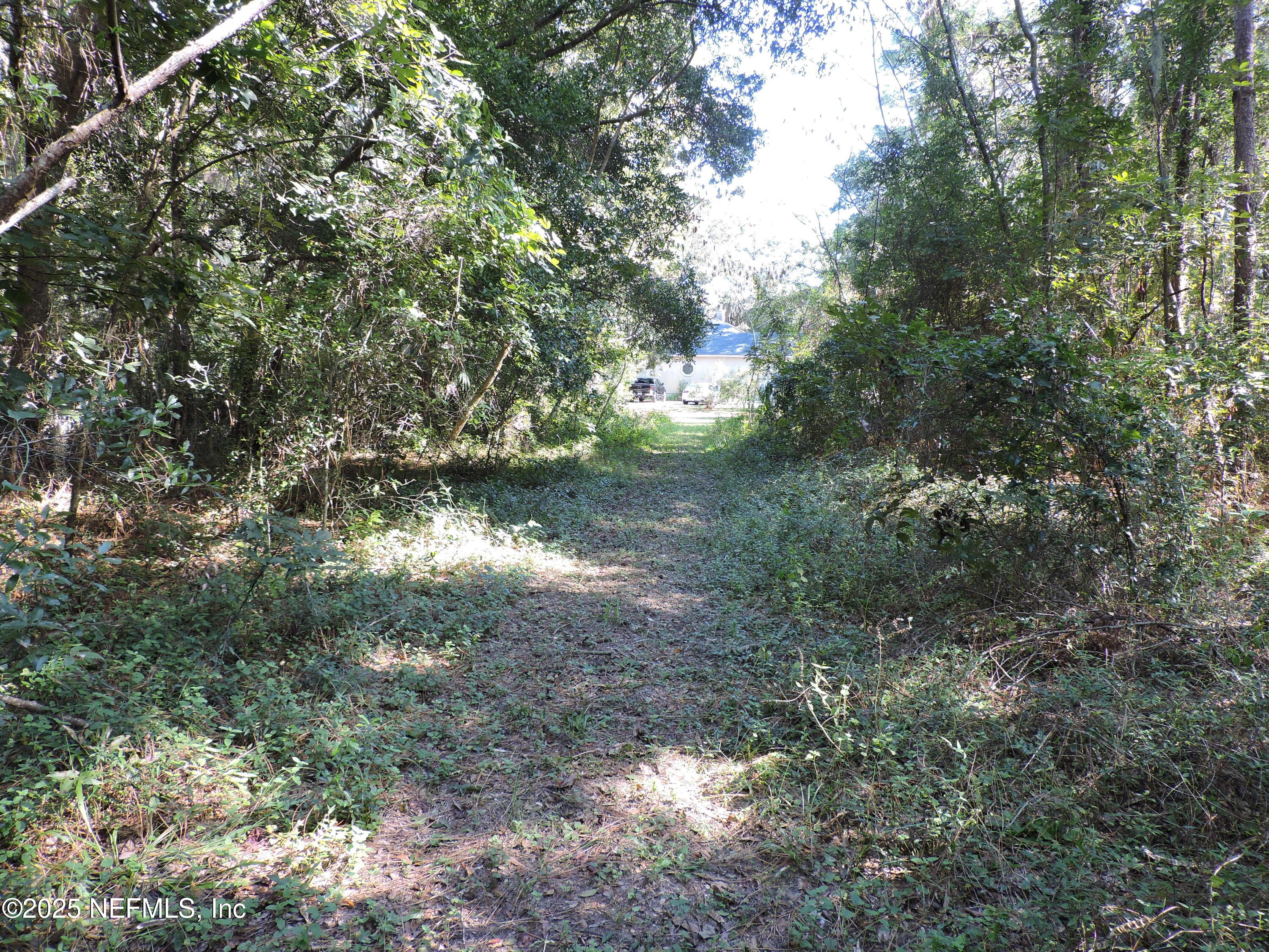 0 New Berlin Road Jacksonville, FL 32226 - Photo 7 of 36 a view of a yard with a tree
