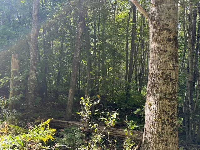 $145,000 | 35-3 Jones Hill Road, Union, ME 04862