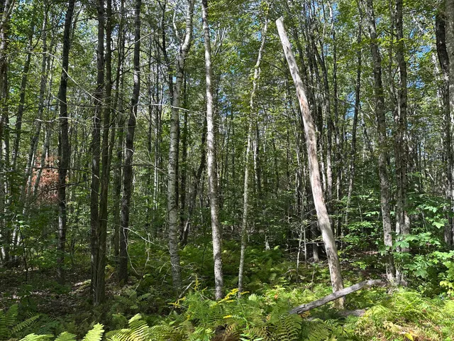 $145,000 | 35-3 Jones Hill Road, Union, ME 04862