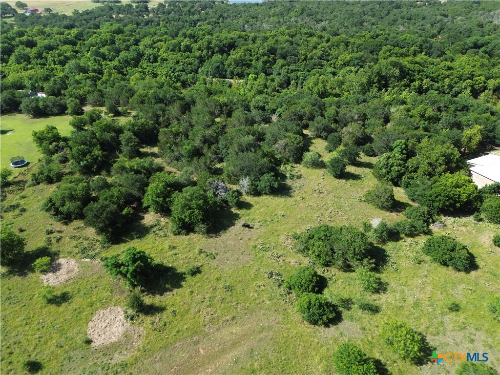 Tbd Lot 6 West Tbd Road Salado, TX 76571 - Photo 6 of 15