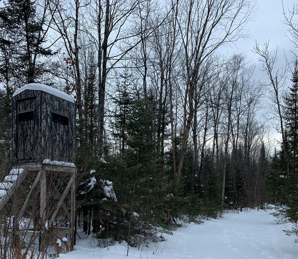 0 Other Butternut, WI 54514 - Photo 10 of 21