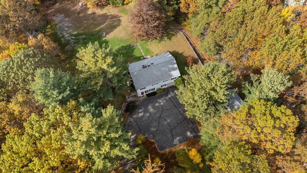 55 Warren Street Boylston, MA 01505 - Photo 24 of 30 a picture of tree