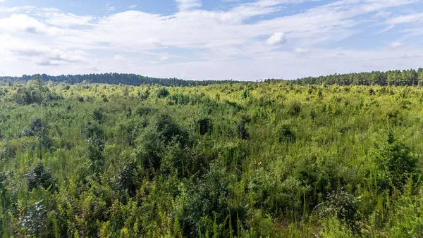 $122,500 | 15-ac Ouzts Road, Edgefield, SC 29824