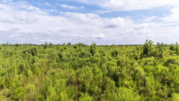 $122,500 | 15-ac Ouzts Road, Edgefield, SC 29824