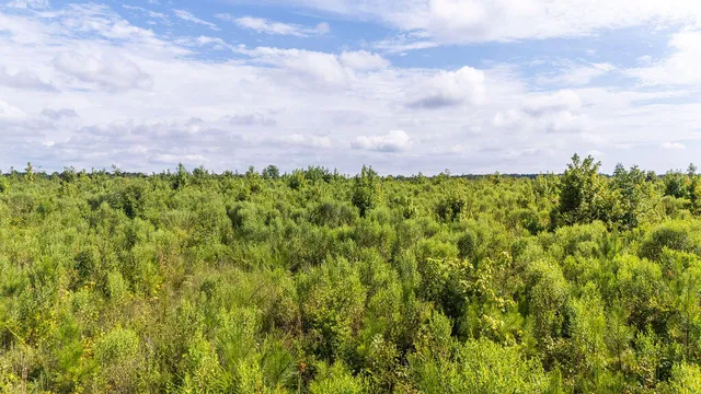$169,900 | 20-ac Ouzts Road, Edgefield, SC 29824