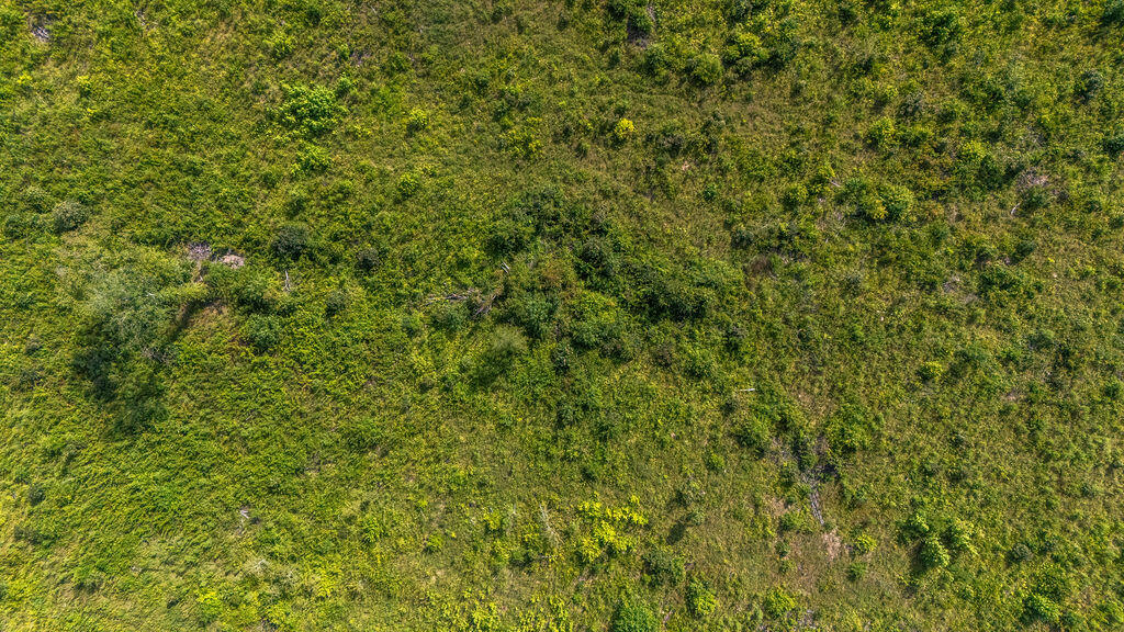 15-ac Ouzts Road Edgefield, SC 29824 - Photo 3 of 6 OuztsRd_3