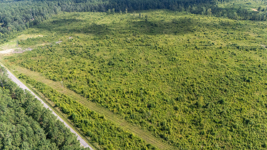 15-ac Ouzts Road Edgefield, SC 29824 - Photo 4 of 6 OuztsRd