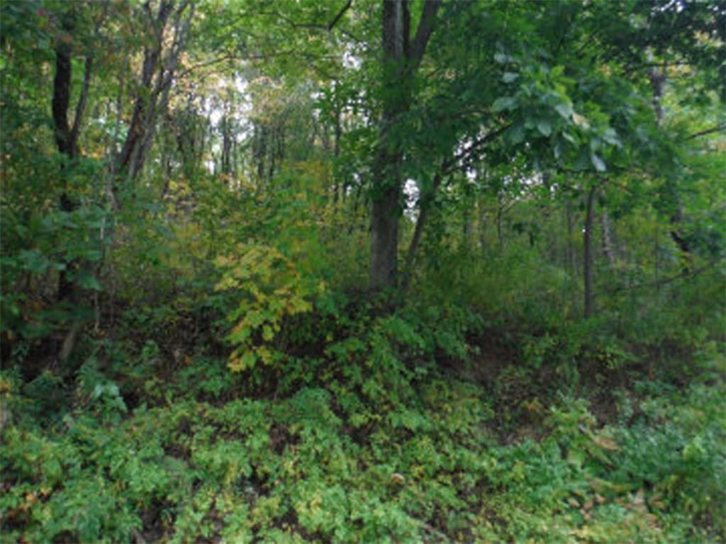 0 Old Rte 422 Highway Indiana, PA 15701 - Photo 1 of 1 00 Rte 422 Hwy, Indiana
