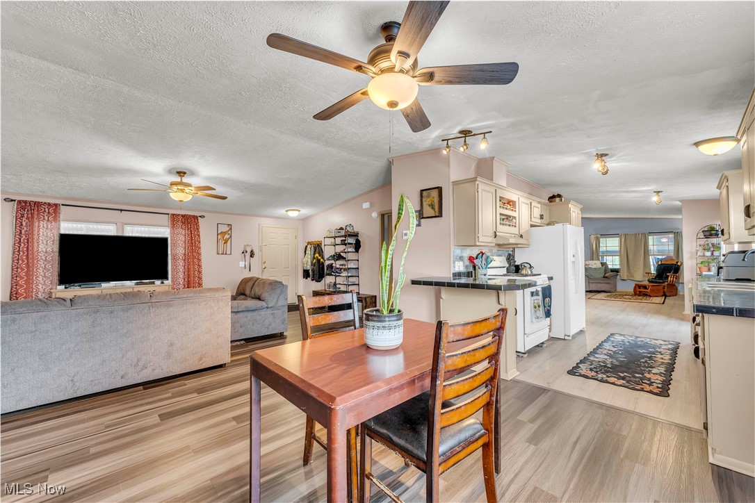 27202 Cook Road, Unit 90 Olmsted Falls, OH 44138 - Photo 6 of 36 Dining area featuring light wood-style flooring, a textured ceiling, a ceiling fan, and vaulted ceiling