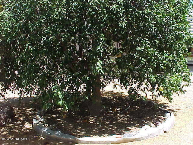 5956 West Rafter Cir Street Tucson, AZ 85713 - Photo 29 of 30