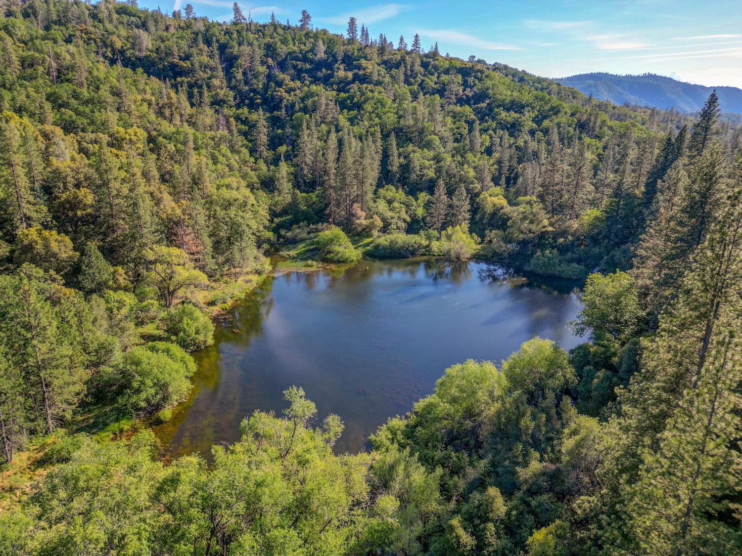 0 Italian Bar Road Twain Harte, CA 95383 - Photo 28 of 28 Drone view.