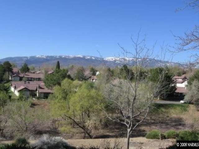 1141 Rayburn Drive Reno, NV 89503 - Photo 9 of 9 a view of a city with lush green forest